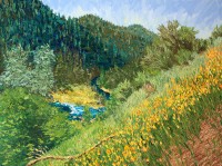 Sierra Mountains, Wildflowers, Poppies